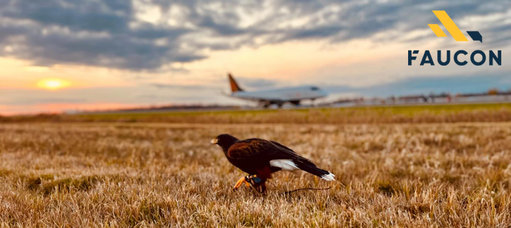 À propos d'Environnement Faucon
